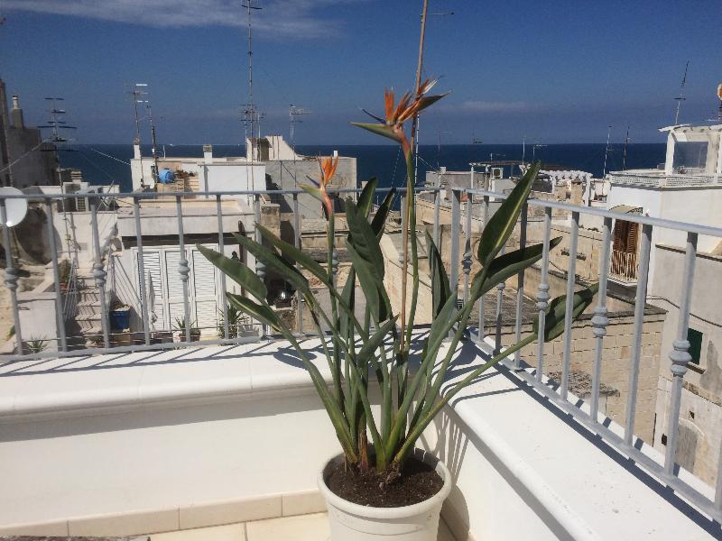 Respiro Del Mare Bed & Breakfast